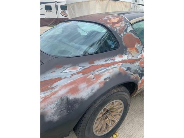 1978 Pontiac Firebird (CC-2109690) for sale in Cadillac, Michigan