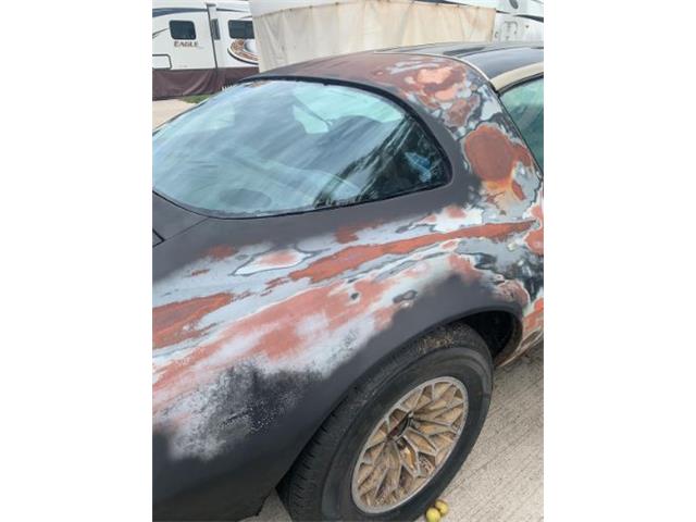 1978 Pontiac Firebird (CC-2109690) for sale in Cadillac, Michigan