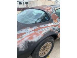 1978 Pontiac Firebird (CC-2109690) for sale in Cadillac, Michigan
