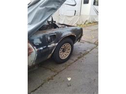 1978 Pontiac Firebird (CC-2109690) for sale in Cadillac, Michigan