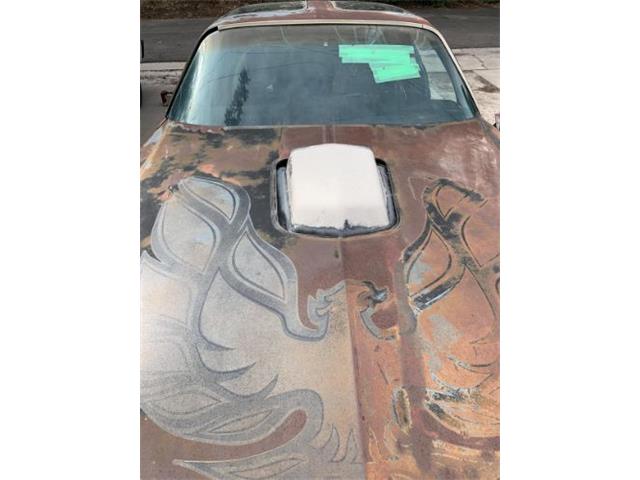 1978 Pontiac Firebird (CC-2109690) for sale in Cadillac, Michigan