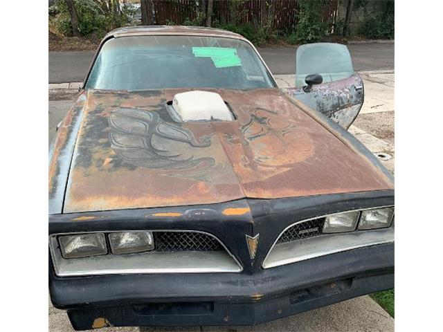1978 Pontiac Firebird (CC-2109690) for sale in Cadillac, Michigan