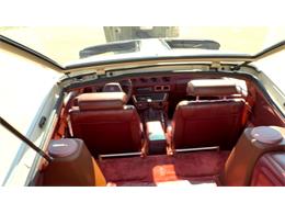 1981 Datsun 280ZX (CC-2109693) for sale in Annandale, Minnesota