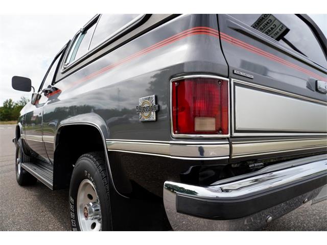 1987 Chevrolet Blazer (CC-2109710) for sale in Ramsey, Minnesota