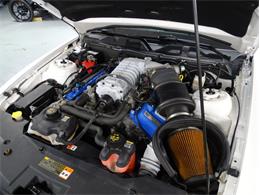 2012 Shelby GT500 (CC-2109715) for sale in Greensboro, North Carolina