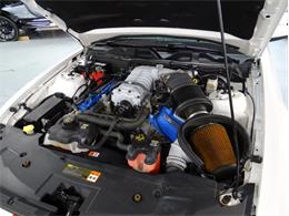 2012 Shelby GT500 (CC-2109715) for sale in Greensboro, North Carolina
