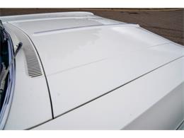 1966 Chevrolet Caprice (CC-2109722) for sale in Ramsey, Minnesota