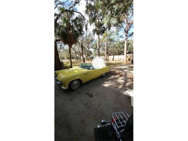1956 Ford Thunderbird (CC-2109749) for sale in Cadillac, Michigan