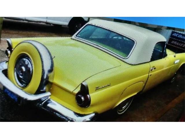 1956 Ford Thunderbird (CC-2109749) for sale in Cadillac, Michigan