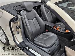 2003 Mercedes-Benz SL500 (CC-2109762) for sale in Cleveland, Ohio