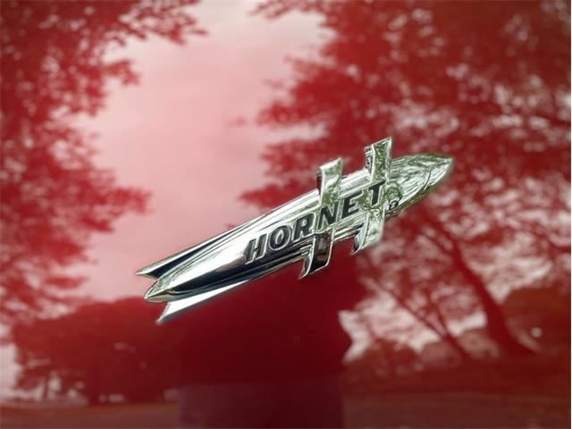 1953 Hudson Hornet (CC-2109804) for sale in Greensboro, North Carolina