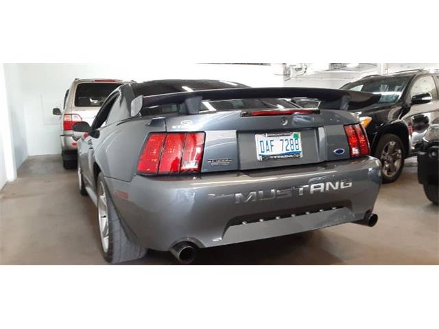 2003 Ford Mustang (CC-2109812) for sale in Cadillac, Michigan