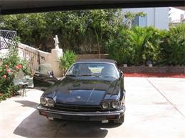 1989 Jaguar Convertible (CC-2109814) for sale in Cadillac, Michigan