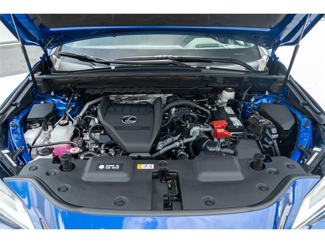 2023 Lexus NX (CC-2109823) for sale in Fort Lauderdale, Florida