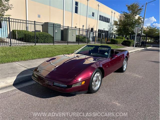 1993 Chevrolet Corvette (CC-2109840) for sale in Clearwater, Florida