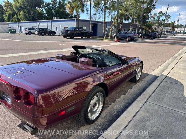 1993 Chevrolet Corvette (CC-2109840) for sale in Clearwater, Florida