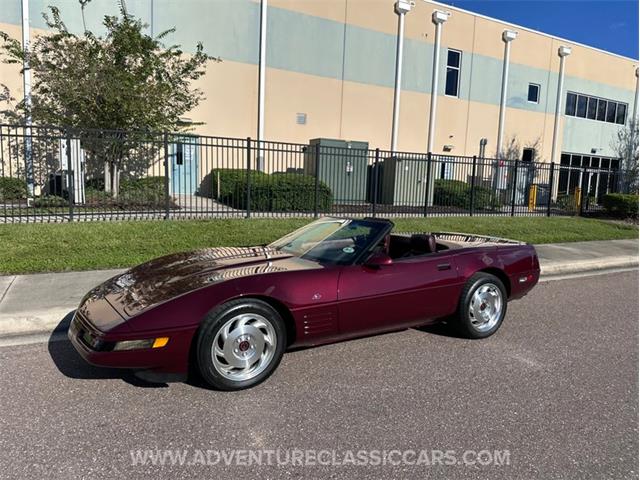 1993 Chevrolet Corvette (CC-2109840) for sale in Clearwater, Florida
