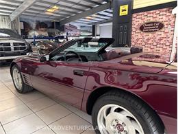 1993 Chevrolet Corvette (CC-2109840) for sale in Clearwater, Florida