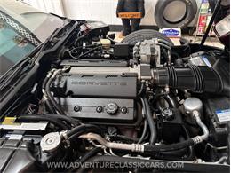 1993 Chevrolet Corvette (CC-2109840) for sale in Clearwater, Florida