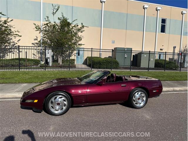 1993 Chevrolet Corvette (CC-2109840) for sale in Clearwater, Florida