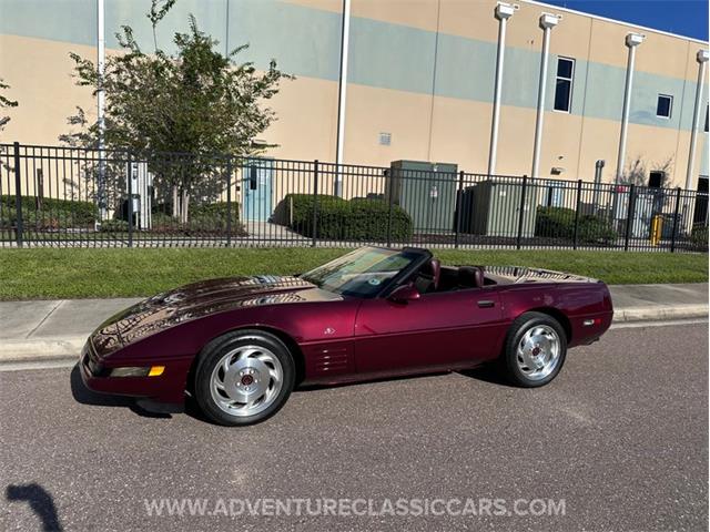 1993 Chevrolet Corvette (CC-2109840) for sale in Clearwater, Florida