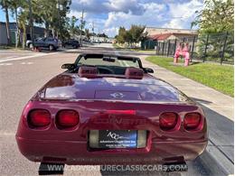 1993 Chevrolet Corvette (CC-2109840) for sale in Clearwater, Florida