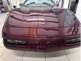1993 Chevrolet Corvette (CC-2109840) for sale in Clearwater, Florida