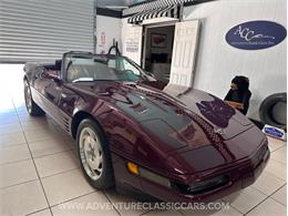 1993 Chevrolet Corvette (CC-2109840) for sale in Clearwater, Florida