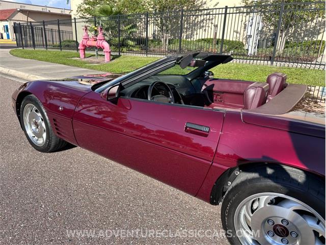 1993 Chevrolet Corvette (CC-2109840) for sale in Clearwater, Florida