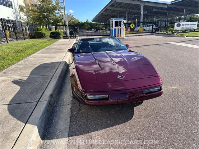 1993 Chevrolet Corvette (CC-2109840) for sale in Clearwater, Florida