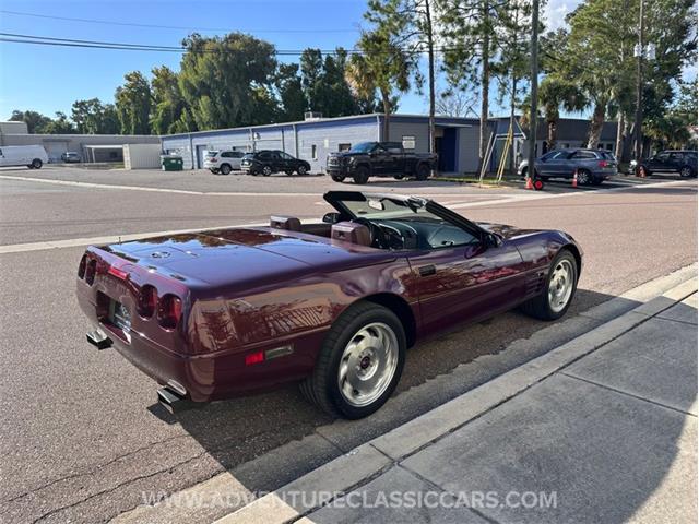 1993 Chevrolet Corvette (CC-2109840) for sale in Clearwater, Florida