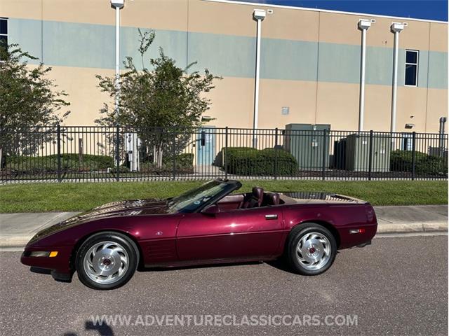 1993 Chevrolet Corvette (CC-2109840) for sale in Clearwater, Florida