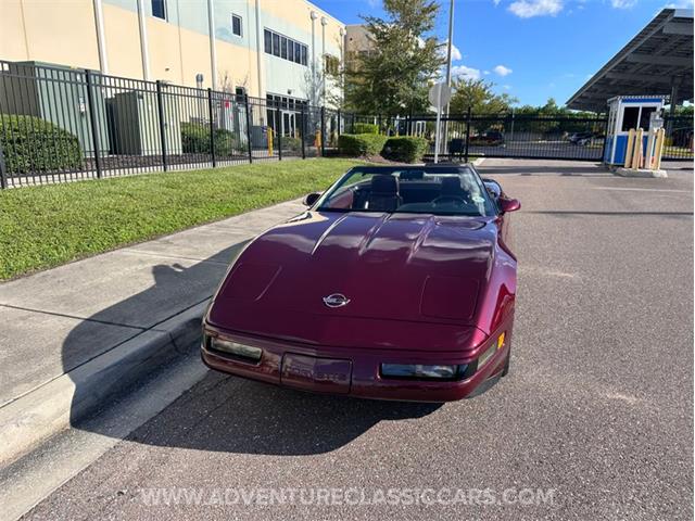 1993 Chevrolet Corvette (CC-2109840) for sale in Clearwater, Florida