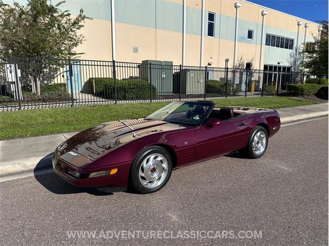 1993 Chevrolet Corvette (CC-2109840) for sale in Clearwater, Florida
