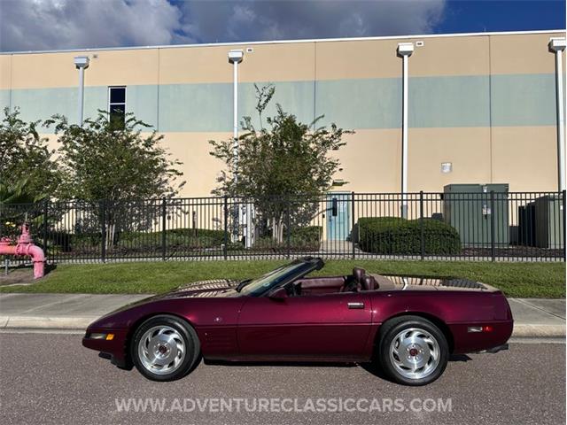 1993 Chevrolet Corvette (CC-2109840) for sale in Clearwater, Florida