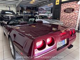 1993 Chevrolet Corvette (CC-2109840) for sale in Clearwater, Florida