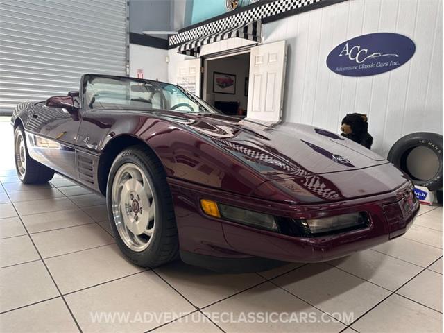1993 Chevrolet Corvette (CC-2109840) for sale in Clearwater, Florida