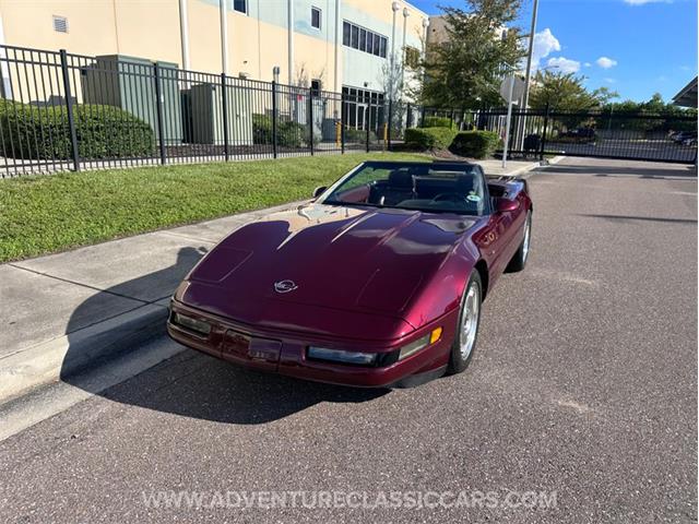 1993 Chevrolet Corvette (CC-2109840) for sale in Clearwater, Florida