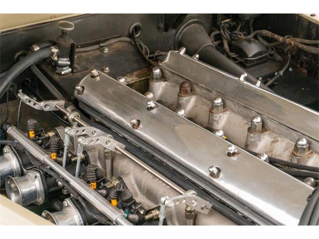 1953 Jaguar XK (CC-2109879) for sale in St Louis, Missouri
