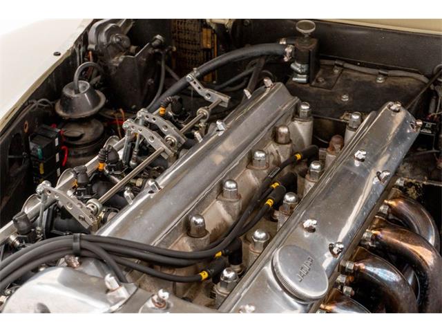 1953 Jaguar XK (CC-2109879) for sale in St Louis, Missouri
