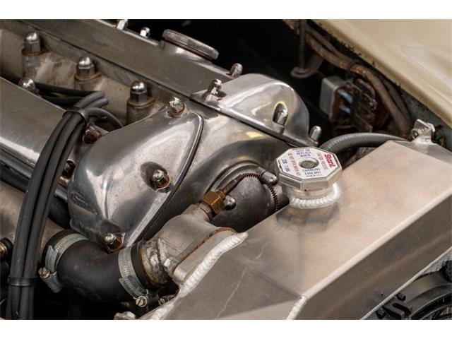1953 Jaguar XK (CC-2109879) for sale in St Louis, Missouri