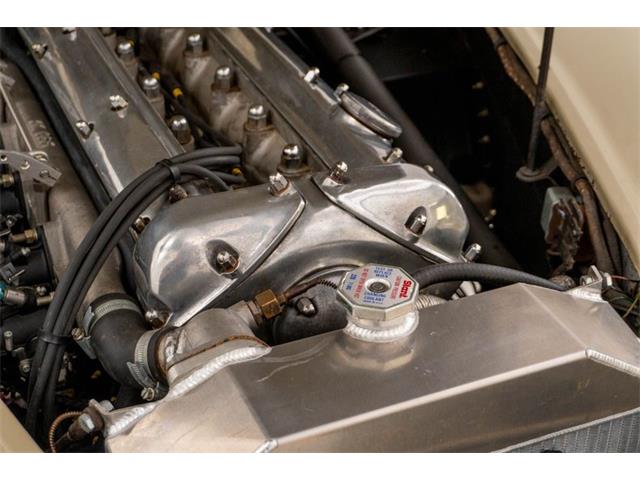 1953 Jaguar XK (CC-2109879) for sale in St Louis, Missouri