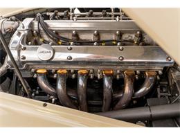 1953 Jaguar XK (CC-2109879) for sale in St Louis, Missouri