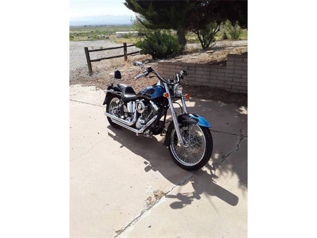 2004 Harley-Davidson Custom (CC-2109883) for sale in Cadillac, Michigan