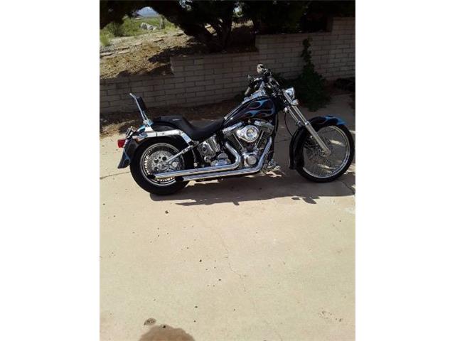 2004 Harley-Davidson Custom (CC-2109883) for sale in Cadillac, Michigan