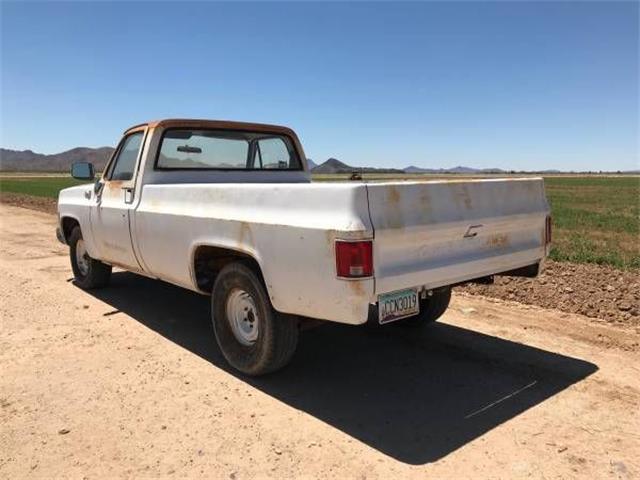 1976 GMC Pickup (CC-2109907) for sale in Cadillac, Michigan