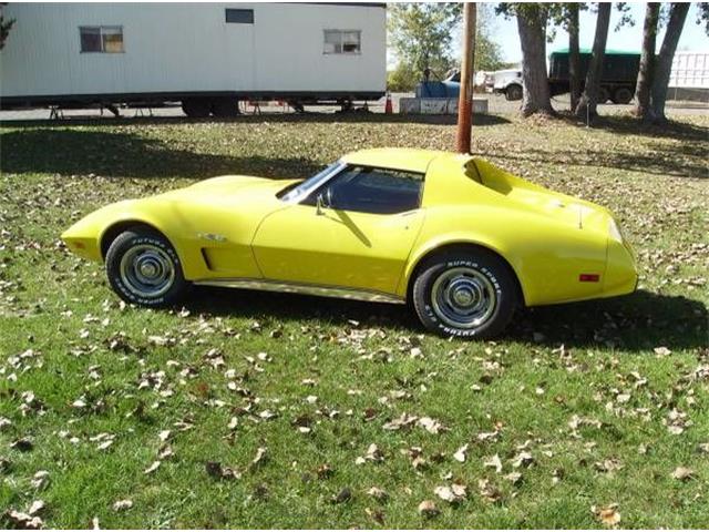 1975 Chevrolet Corvette (CC-2109919) for sale in Cadillac, Michigan