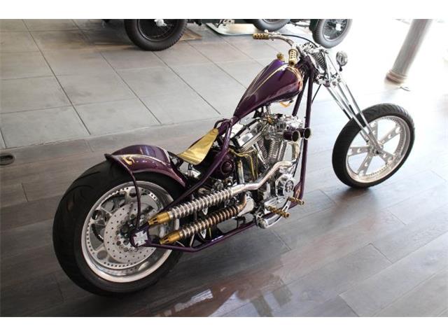 2015 Custom Motorcycle (CC-2109958) for sale in Cadillac, Michigan