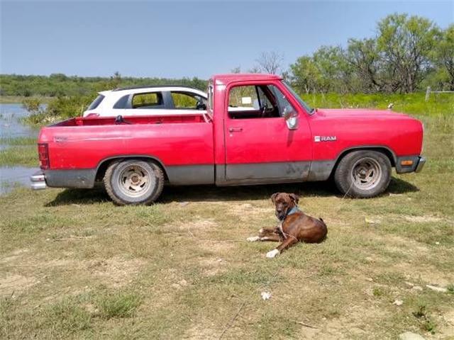 1982 Dodge D150 (CC-2109974) for sale in Cadillac, Michigan
