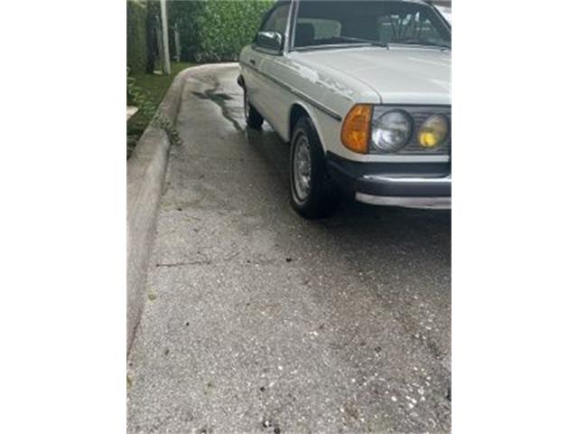 1982 Mercedes-Benz 300CD (CC-2109976) for sale in Cadillac, Michigan